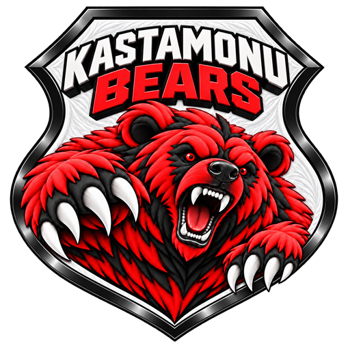 KASTAMONU BEARS